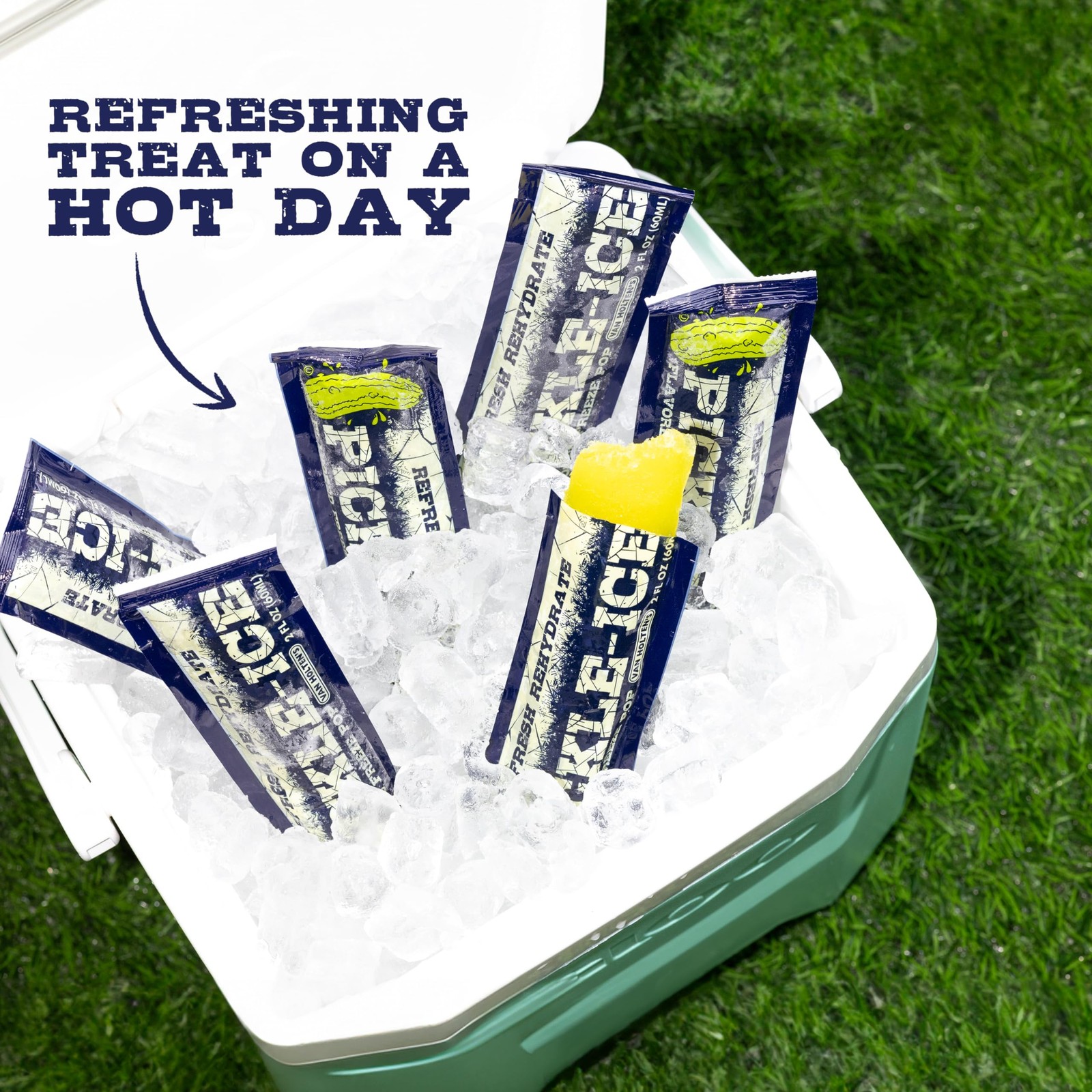 Van Holten’s Pickles – Pickle-Ice Freeze Pops – Twin 2 Ounce (Pack of 48)